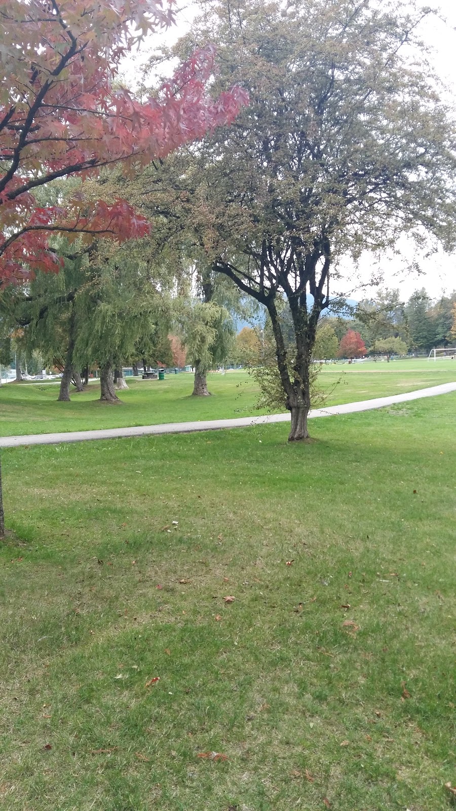 Confederation Park Dog Park | 4598 Penzance Dr, Burnaby, BC V5C, Canada