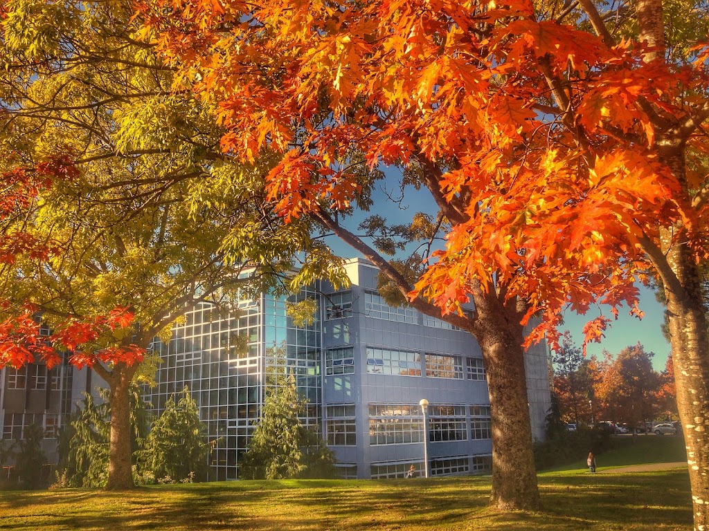 William C. Mearns Centre for Learning - McPherson Library | 3800 Finnerty Rd, Victoria, BC V8P 5C2, Canada | Phone: (250) 721-6673