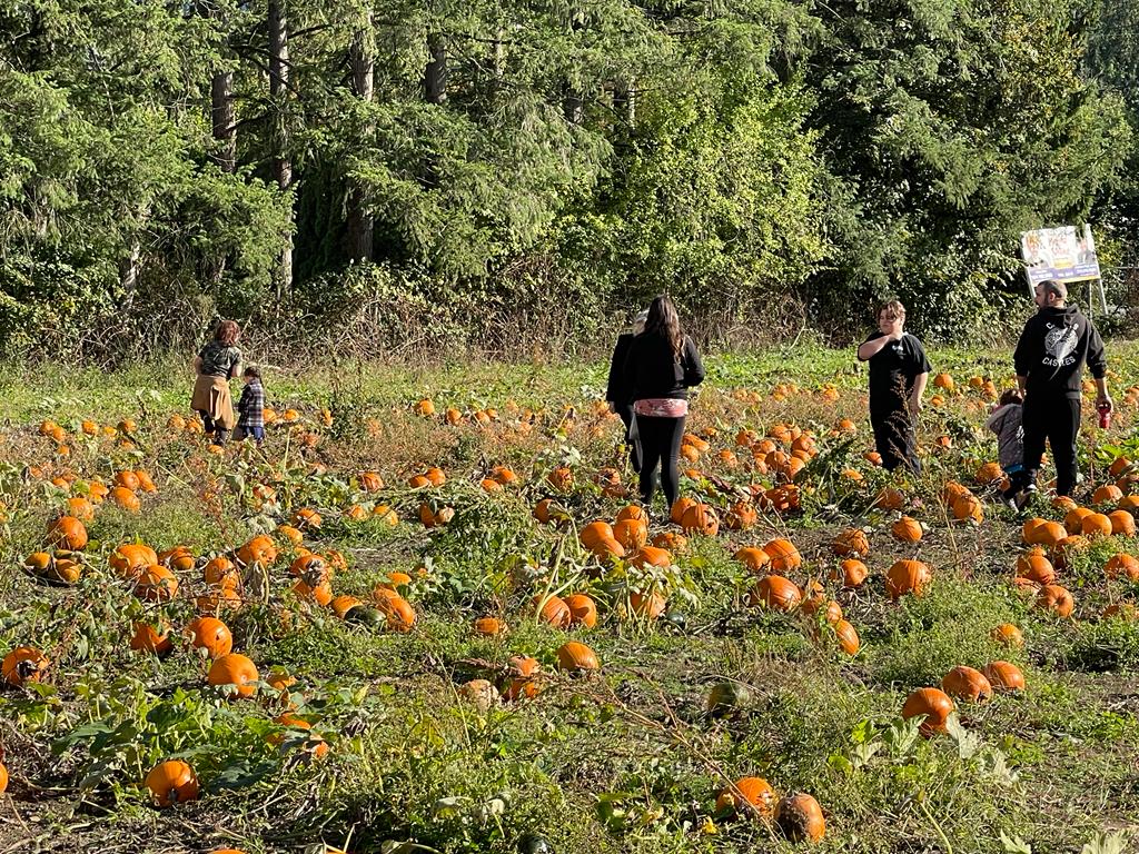 Haney Fresh Farm | Haney Fresh Farm, 24331 Dewdney Trunk Rd, Maple Ridge, BC V4R 1W7, Canada | Phone: (778) 955-5000