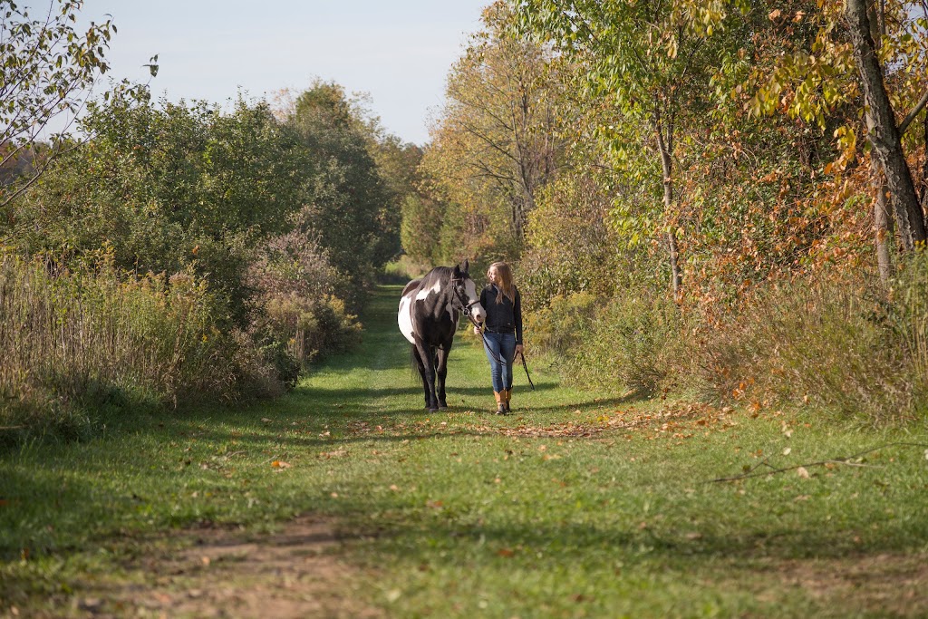 Whitney Stables | 3 Line, Erin Township, Acton, ON L7J 2L8, Canada | Phone: (519) 362-6664