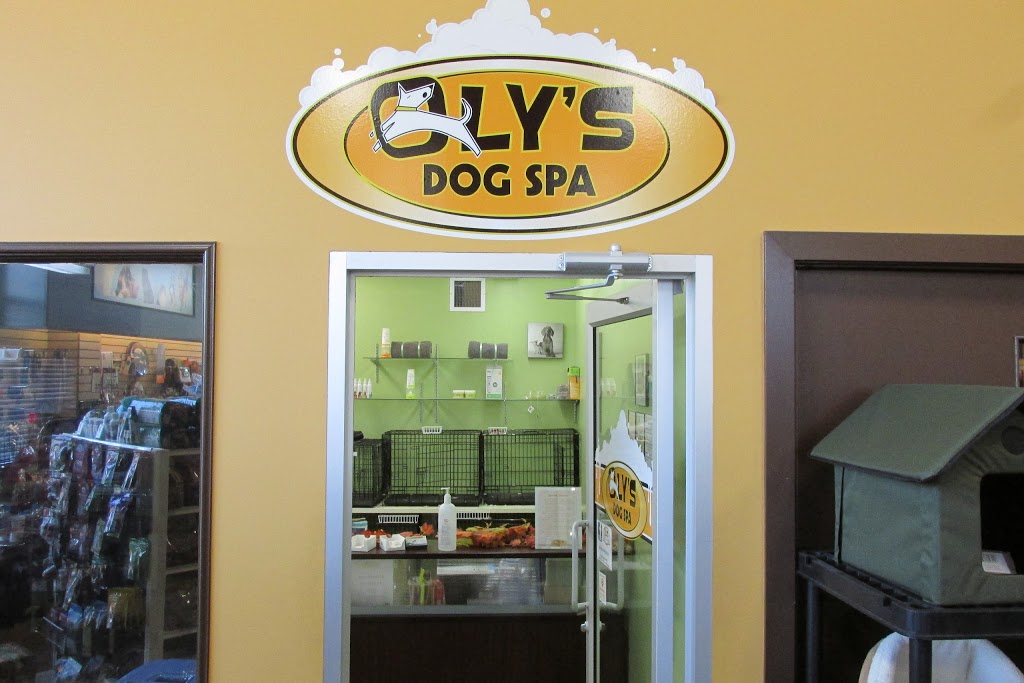 Olys Doggie Spa & Grooming | 34150 S Fraser Way, Abbotsford, BC V2S 2C6, Canada | Phone: (604) 746-1408