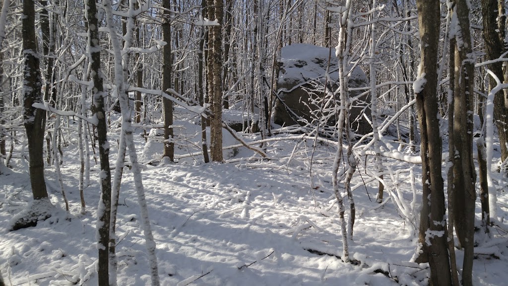 Hameaux De La Source | 387 Chem. de la Sablière, Lantier, QC J0T 1V0, Canada | Phone: (438) 558-9074