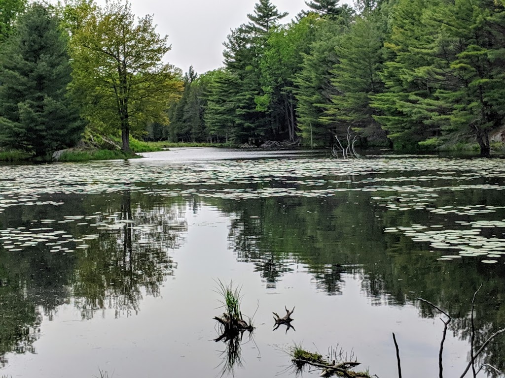 Silver Queen Trail Parking Lot | Tay Valley, ON K7H 3C7, Canada