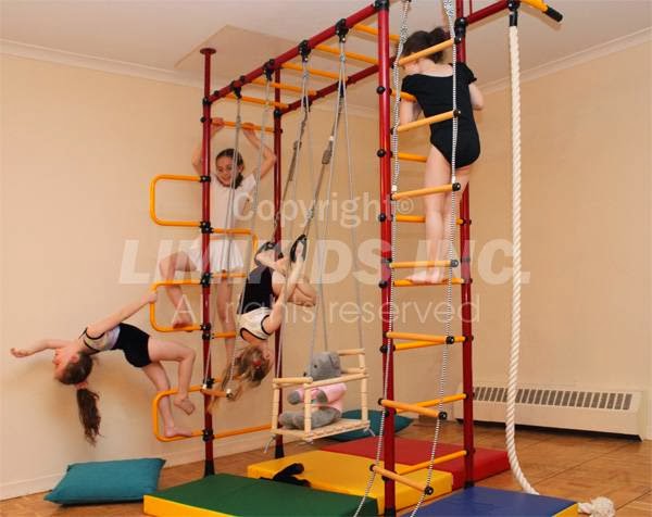 Limikids Indoor Playset | 300 Supertest Rd #3, North York, ON M3J 2M4, Canada | Phone: (416) 845-5439