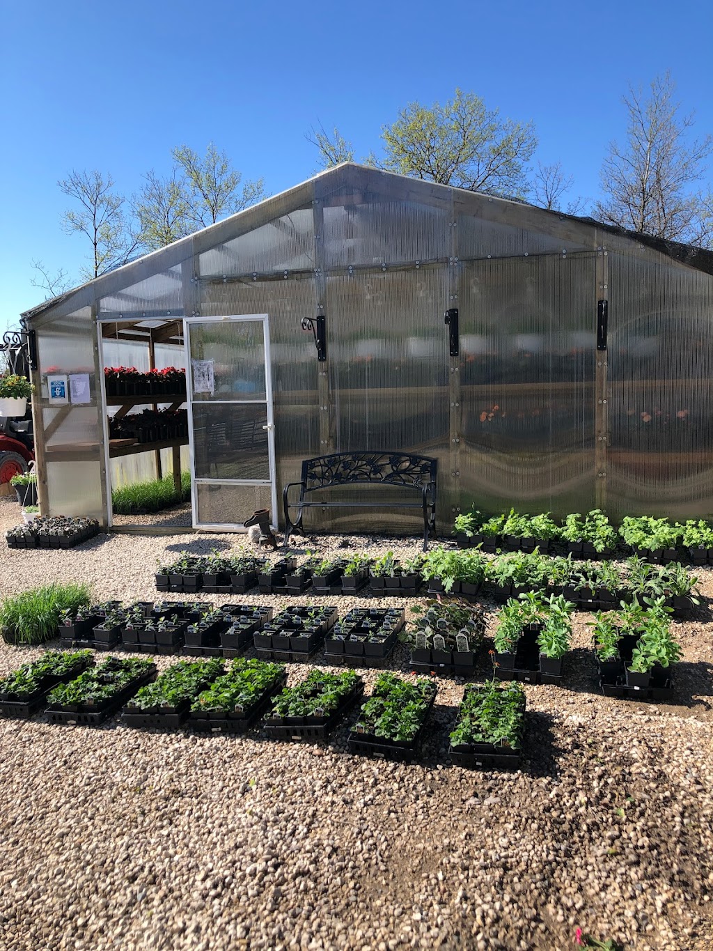 Marlenes Green Impressions Greenhouse | 233 Oakenwald Crescent, Mitchell, MB R5G 1J3, Canada | Phone: (204) 371-0153