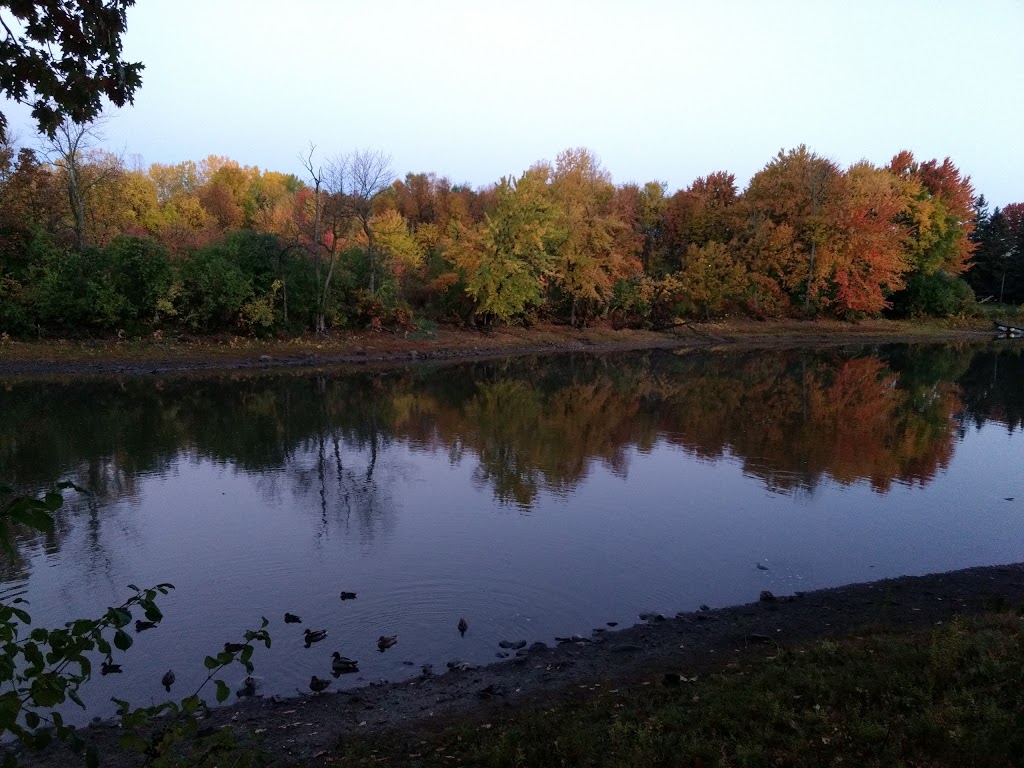 Aire de repos Île-Mercier | Boulevard Mercier, LÎle-Bizard, QC H9E 1H2, Canada