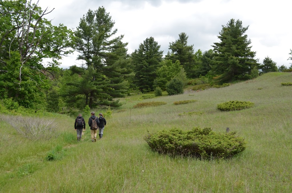 Hazel Bird Nature Reserve | 9636 Beavermeadow Rd E, Baltimore, ON K0K 1C0, Canada | Phone: (800) 465-0029