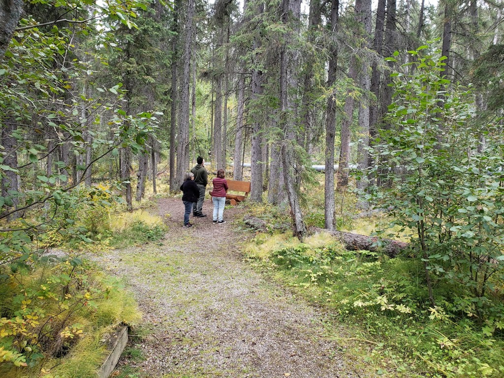 Raven Brood Trout Station | Clearwater County, AB T0M 0M0, Canada | Phone: (403) 846-8207