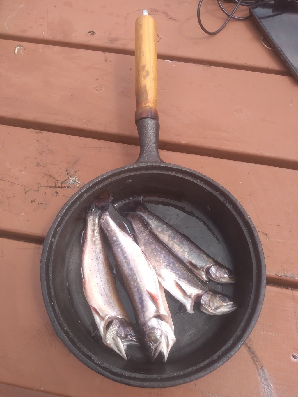 Lac arthabaska parc des grand jardins PÊCHE | Chemin du Lac Ste Anne, Saint-Urbain, QC G0A 4K0, Canada | Phone: (418) 456-4846