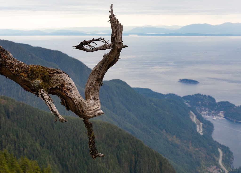 Saint Marks Summit | Howe Sound Crest Trail, Bowen Island, BC V0N 1G0, Canada