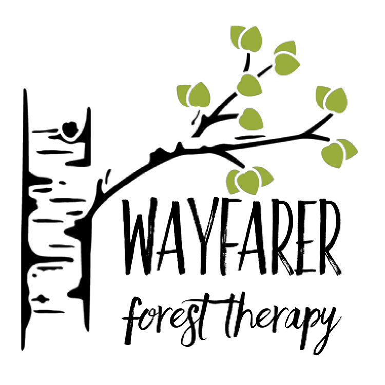 Wayfarer Forest Therapy | Audrey St, Kingston, ON K7L 4V4, Canada | Phone: (613) 583-6883