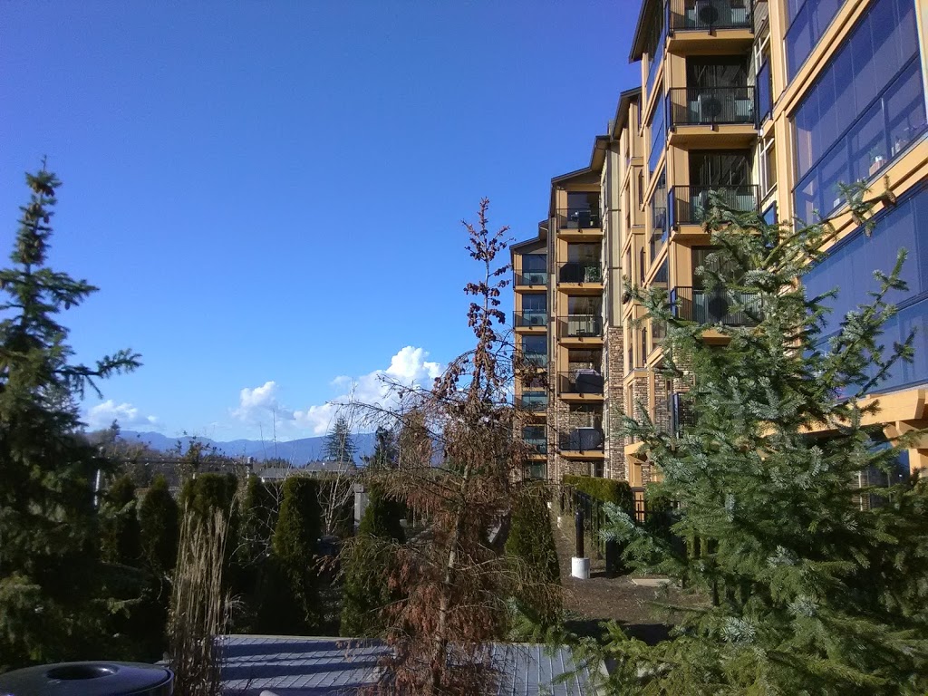 Yorkson Grove Apartments | 8026 207 St, Langley City, BC V2Y 1X6, Canada | Phone: (604) 259-6805