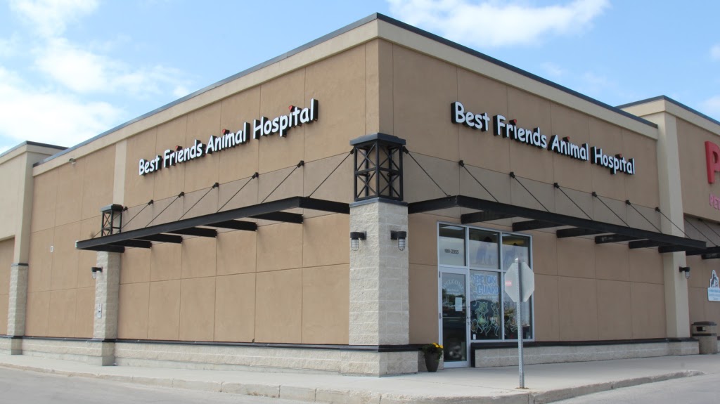 Best Friends Animal Hospital | 100-2355 McGillivray Blvd., Winnipeg, MB R3Y 0A1, Canada | Phone: (204) 269-4451
