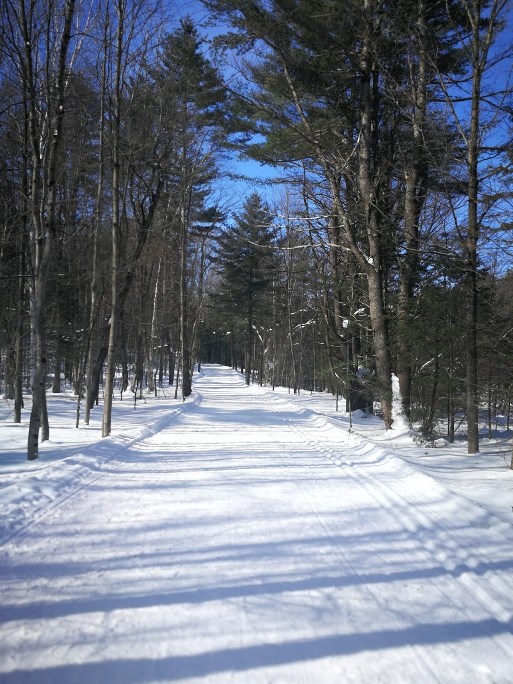 Lac Jérôme Natural Park | Saint-Jérôme, QC J7Y 5H4, Canada