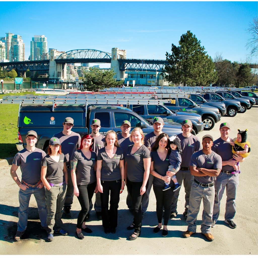 Westside Pest Control Coquitlam | 1-120 Glacier St, Coquitlam, BC V3V 3L6, Canada | Phone: (604) 498-0225