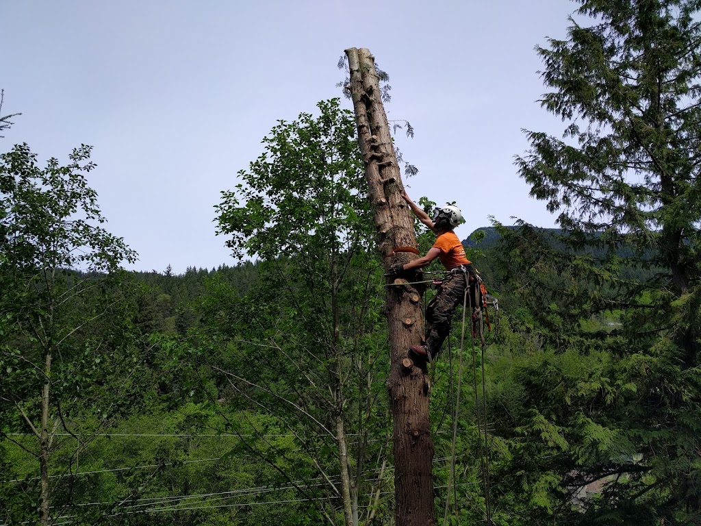 ArborGreen Tree Service North Vancouver | 83 - 1050 Premier St, North Vancouver, BC V7J 2H2, Canada | Phone: (778) 288-2521