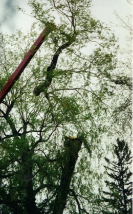 Four Seasons Expert Tree Maintenance & Removal Inc | Saddlewood Drive TWP 907515, Kitchener, ON N2P 2K2, Canada | Phone: (519) 632-7771