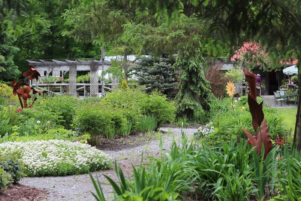 Whitehouse Perennials & Display Gardens | 594 Rae Rd, Almonte, ON K0A 1A0, Canada | Phone: (613) 256-3406