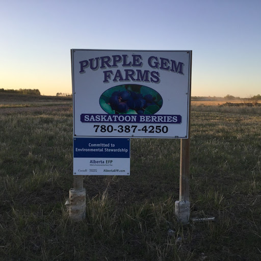 Purple Gem Farms | RR#2, Millet, AB T0C 1Z0, Canada | Phone: (780) 387-4250