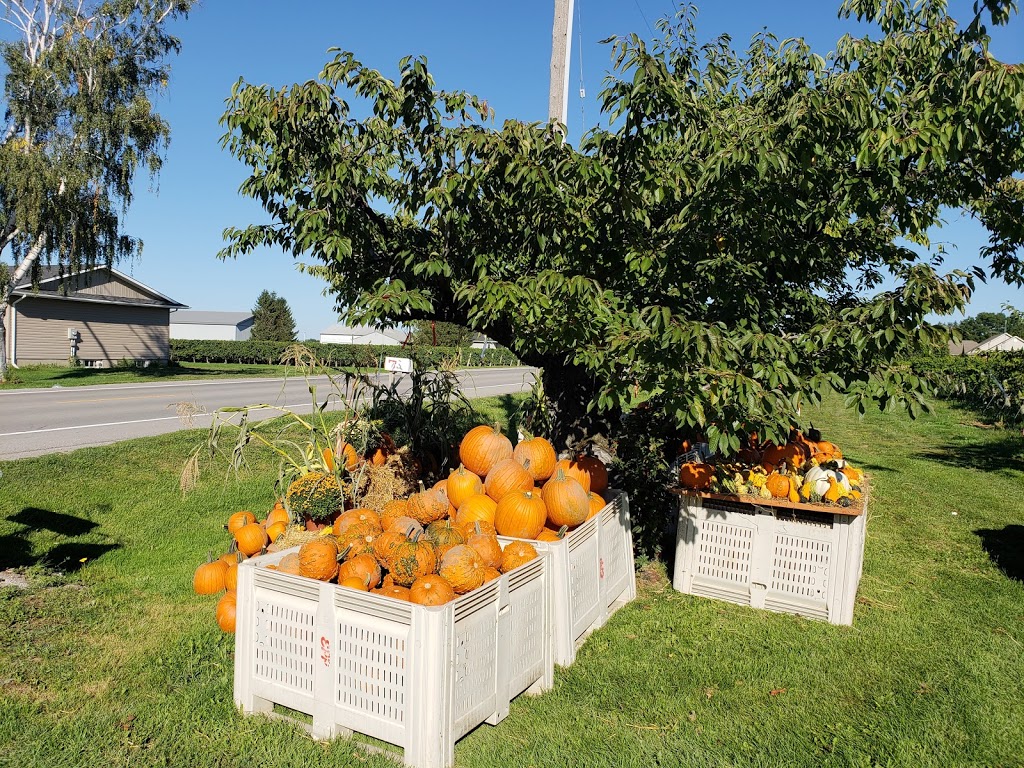 Local Menonite Fruit and Legumes | 1023 East and West Line, Niagara-on-the-Lake, ON L0S 1J0, Canada