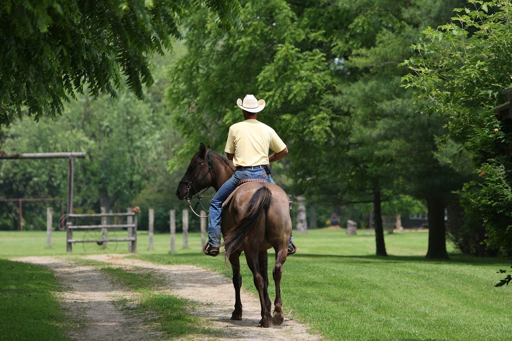 Texas Longhorn Ranch | 1745 Melwood Dr, Strathroy, ON N7G 3H5, Canada | Phone: (519) 247-3644