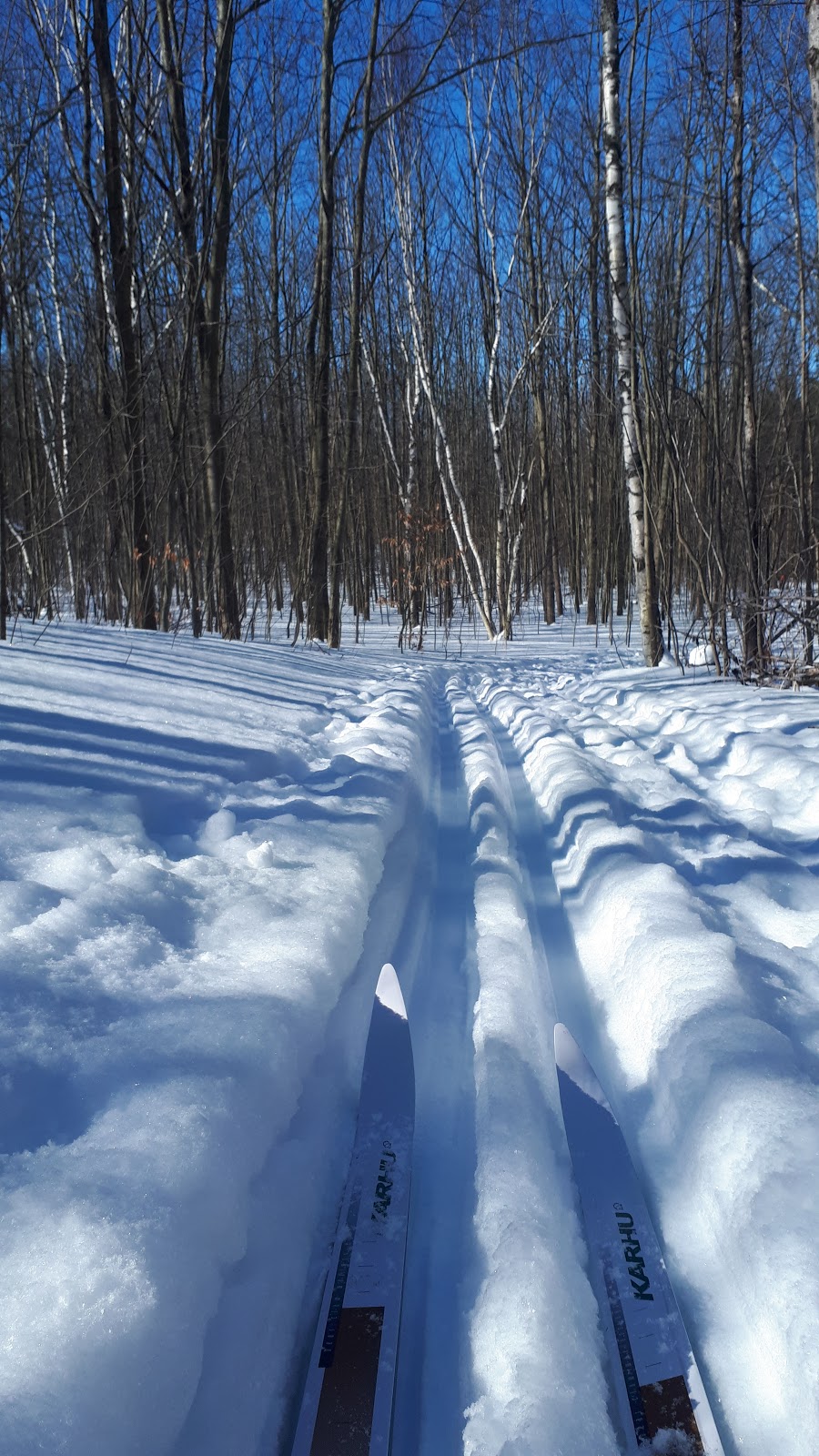 Walker Woods | Goodwood, ON L0C 1A0, Canada