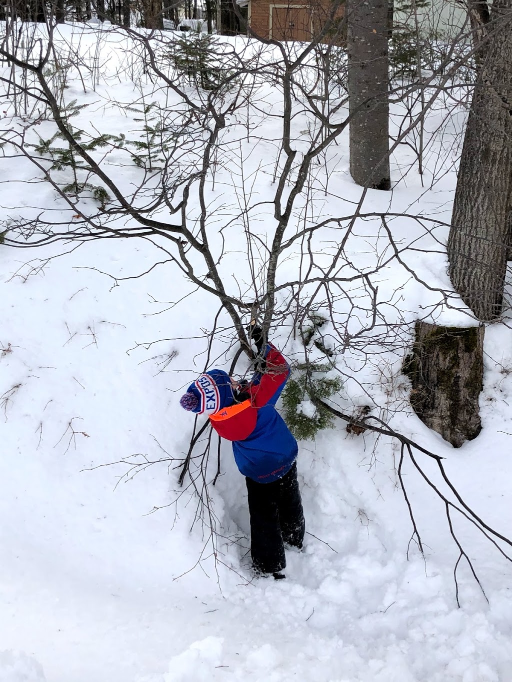 Nursery Bulle De Neige | 2760 Rue Agnès, Lac-Mégantic, QC G6B 1K6, Canada | Phone: (819) 582-2543