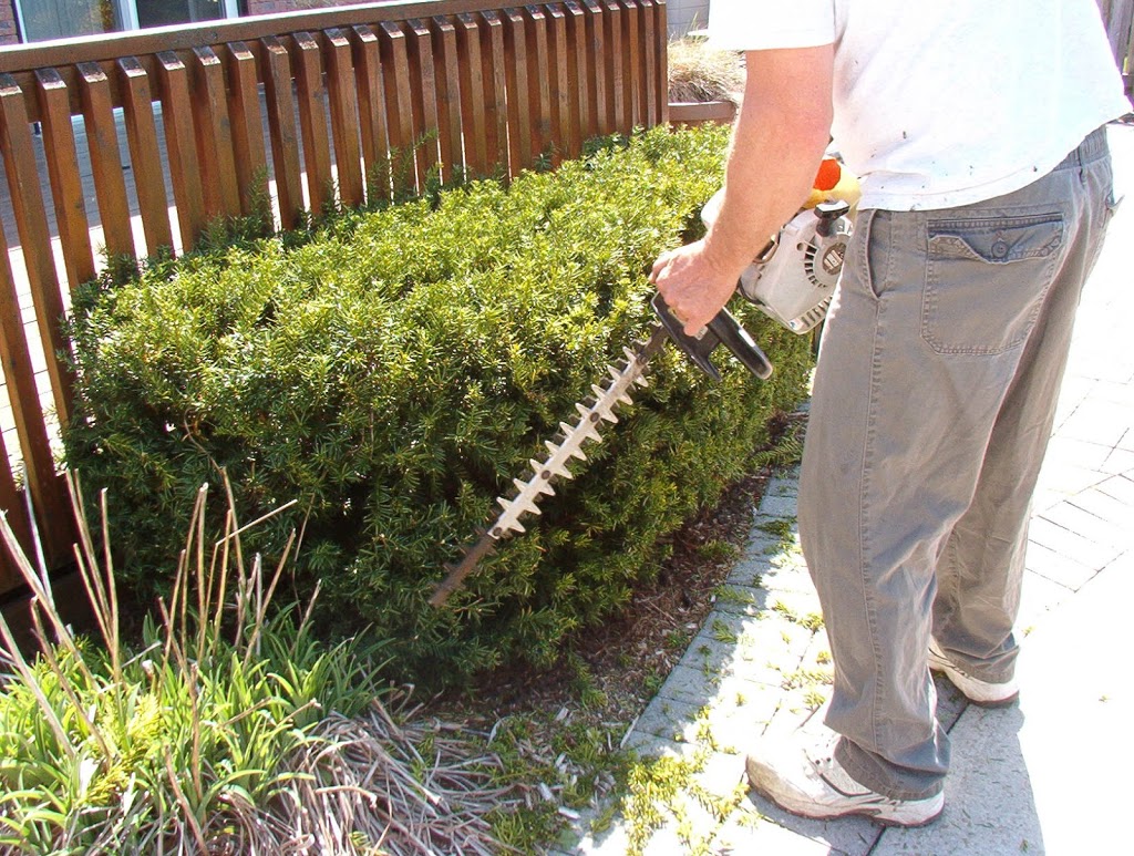 GREEN CARE Property Maintenance | 245 Gibb St, Oshawa, ON L1J 1Y9, Canada | Phone: (905) 424-1441