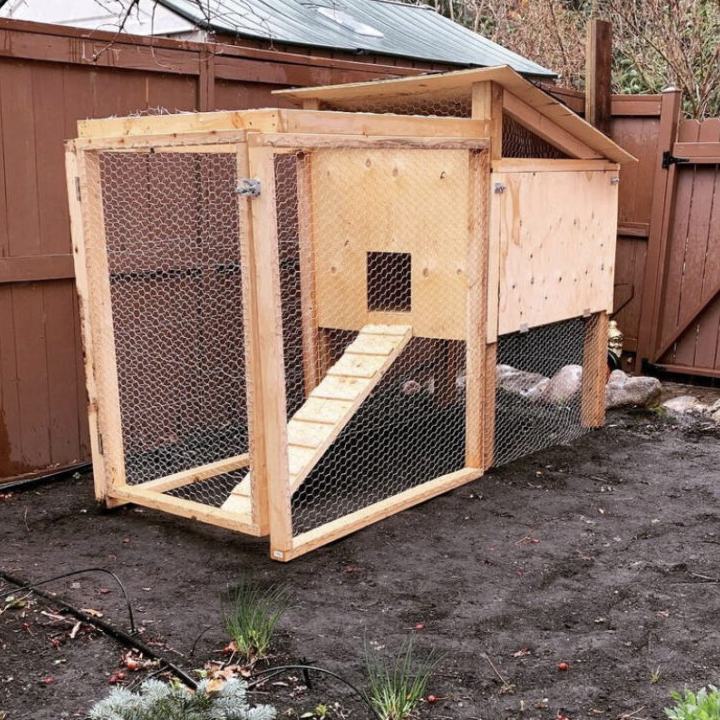 CITY Chickens | 50°4848.0"N, 52 6"W #113°54, Foothills, AB T1S 5A6, Canada | Phone: (403) 667-6735
