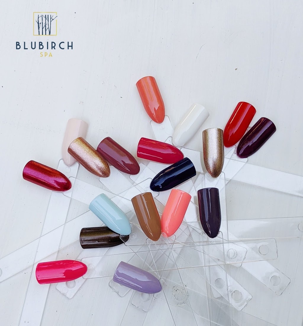 BluBirch Spa | 64 Blucher St, Kitchener, ON N2H 5T8, Canada | Phone: (519) 570-2215