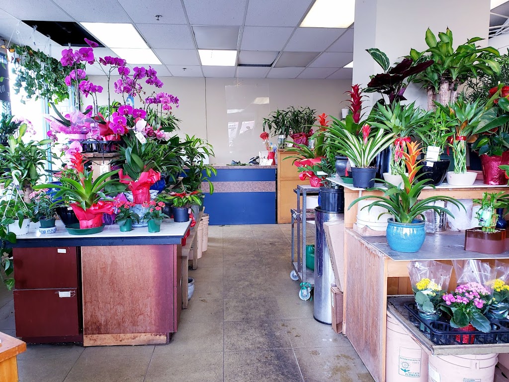 Daves Flowers Ltd | 5305 Victoria Dr, Vancouver, BC V5P 3V6, Canada | Phone: (604) 327-3432