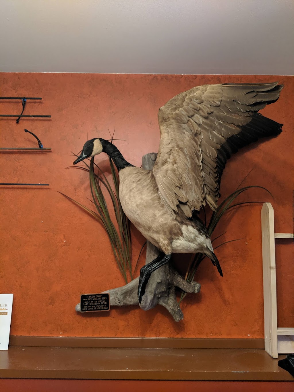 Mr. Fish Taxidermy | 73 Myrtle St, Hazelridge, MB R0E 0Y0, Canada | Phone: (204) 755-3474