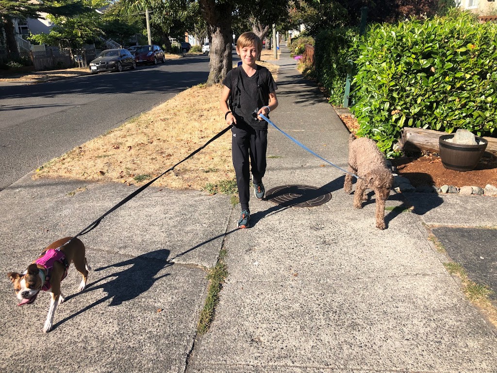 Emmetts Dog walking | 1250 Dallas Rd, Victoria, BC V8V 1C4, Canada | Phone: (778) 676-6054