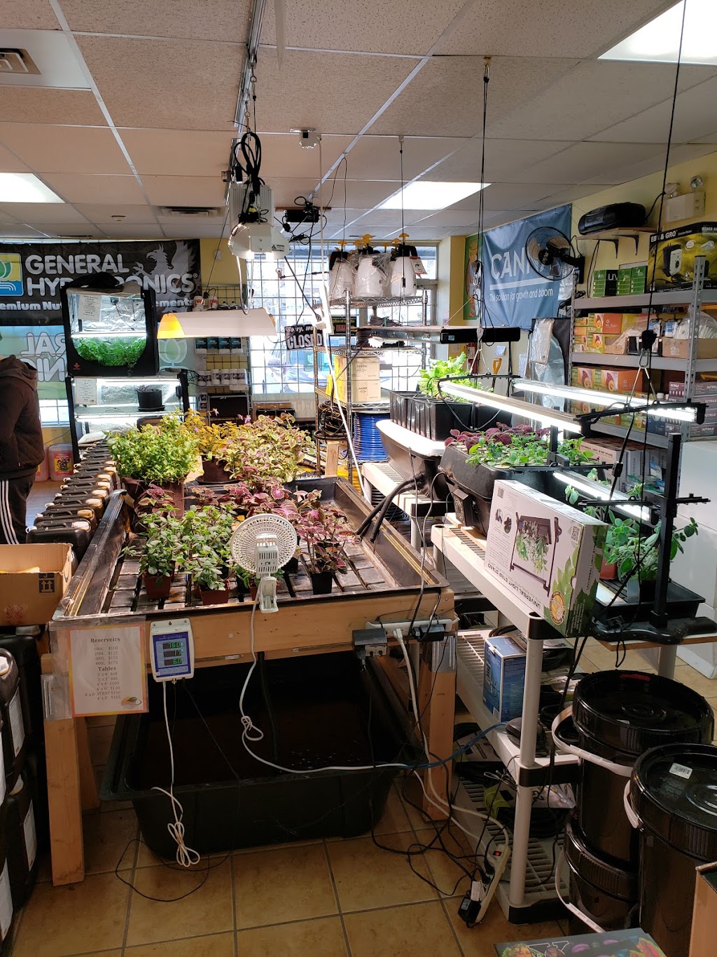 Brite-Lite Indoor Garden Centre | 1675 Cyrville Rd #104, Gloucester, ON K1B 3L7, Canada | Phone: (613) 842-8999