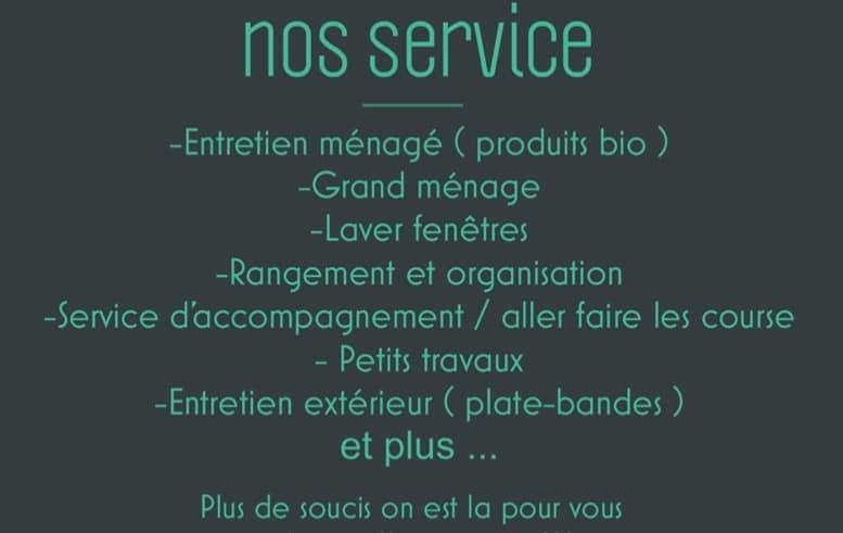 Entretien Lamothe Inc | 149 Rue Principale, Bedford, QC J0J 1A0, Canada | Phone: (450) 684-4588