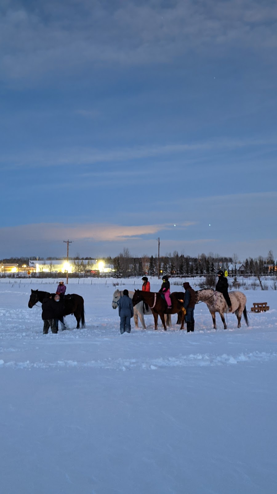 Discovering the Horse | 243201 Range Rd 33, Calgary, AB T3Z 2E6, Canada | Phone: (403) 242-7648