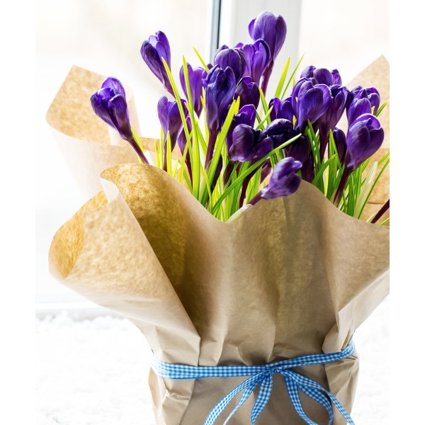 Quispamsis Flowers | 12 Andrew Crescent, Rothesay, NB E2S 1A8, Canada | Phone: (877) 713-7848