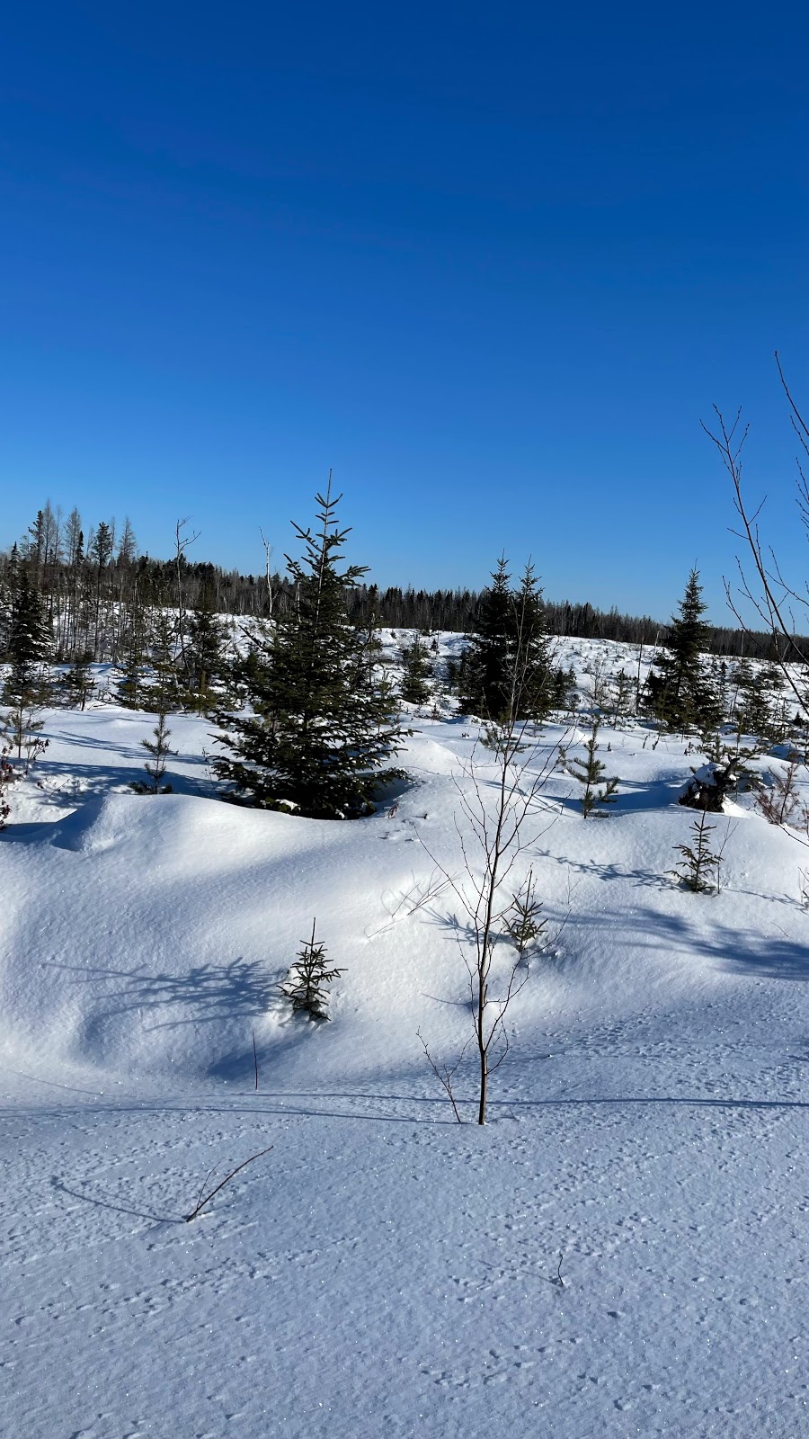 Relais Randonnées du Nord | Maria-Chapdelaine, QC G0W 1R0, Canada | Phone: (418) 679-6946