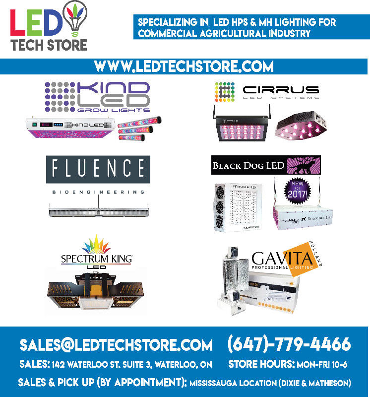 LED Tech Store | 142 Waterloo St Suite 3, Waterloo, ON N2J 1Y2, Canada | Phone: (647) 779-4466