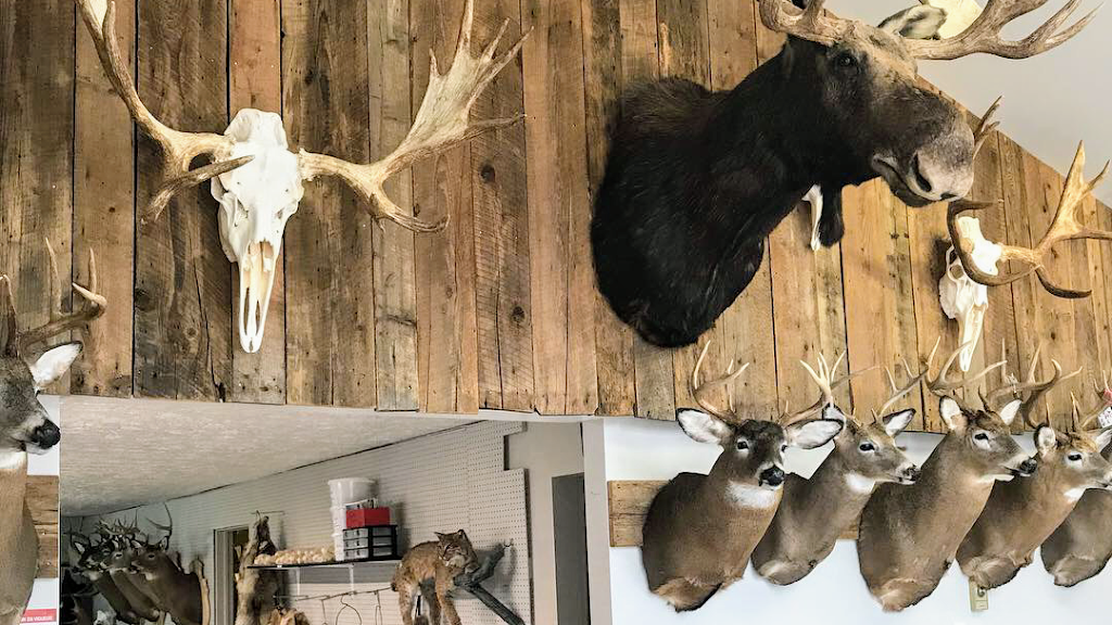 Taxidermie De LEstrie | 3331 Rue King E, Sherbrooke, QC J1E 3Y8, Canada | Phone: (819) 829-3819