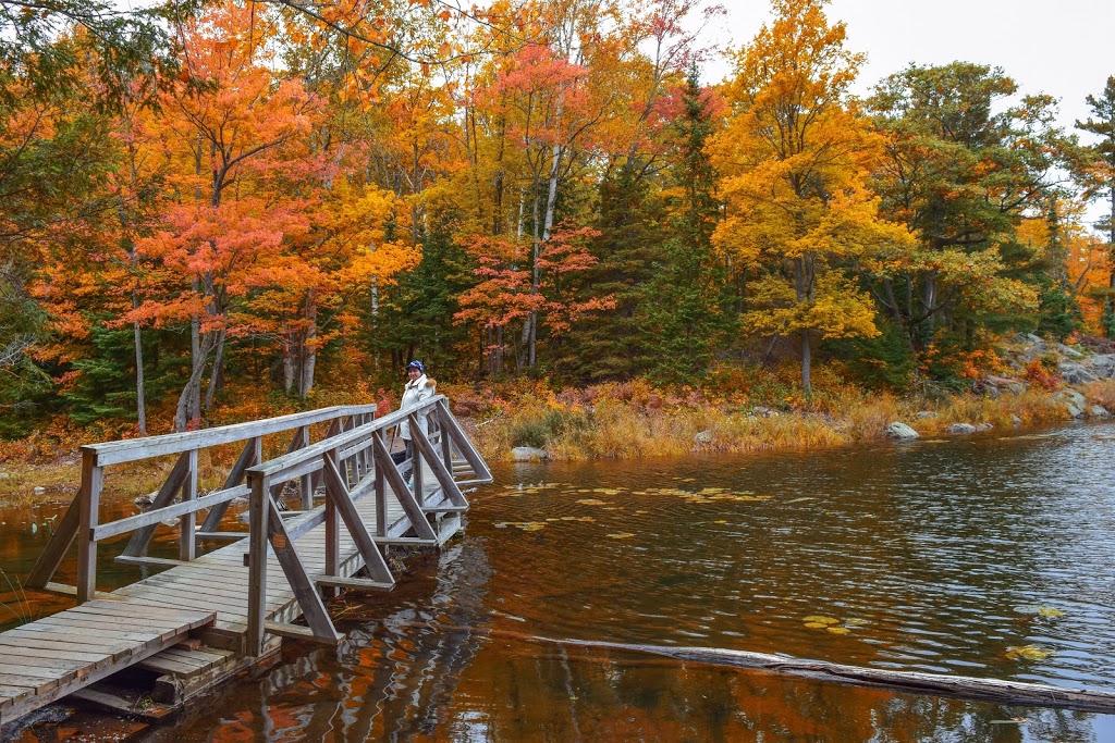 Kakakise Wood Bridge | Killarney, ON P0M, Canada