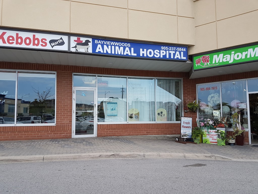 Bayviewwoods Animal Hospital | 1480 Major Mackenzie Dr E c10, Richmond Hill, ON L4S 0A1, Canada | Phone: (905) 237-5844