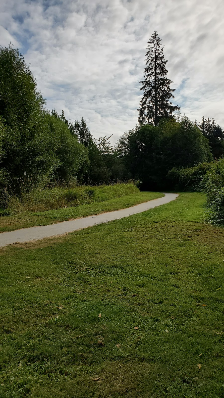 Nicomekl River Suspension Bridge | Langley, BC V3A 9H1, Canada | Phone: (604) 514-2912