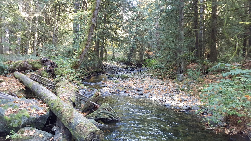 Juan De Fuca Salmon Restoration Society | 2895 Sooke River Rd, Sooke, BC V9Z 0Y1, Canada | Phone: (250) 642-4200