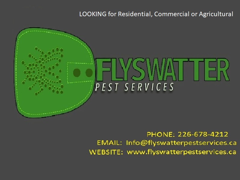 Flyswatter Pest Services | 111 Commissioner St, Embro, ON N0J 1J0, Canada | Phone: (226) 678-4212
