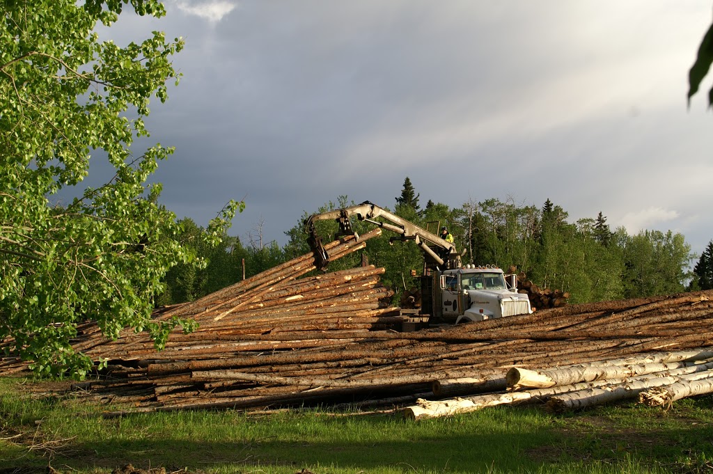 Firewood On Hi-way 53 | 284019 Hiway 53 R.R. 3, Rimbey, AB T0C 2J0, Canada | Phone: (403) 783-8804