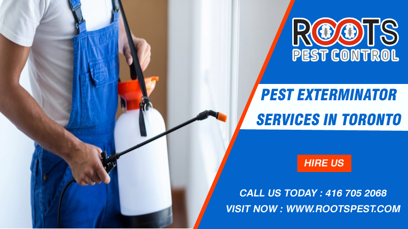 Roots Pest Control | postal code, 475 Bramalea Rd Unit #183, Brampton, ON L6T 2X3, Canada | Phone: (416) 705-2068