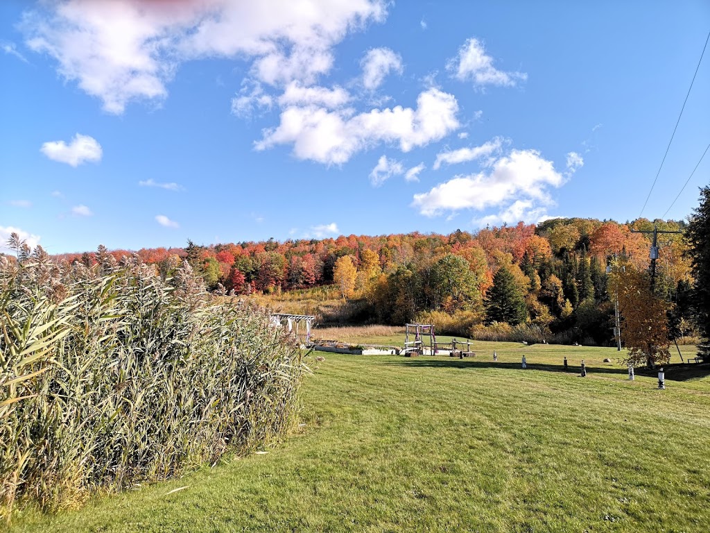 Ranch Resort | 252 Ski Hill Rd, Bethany, ON L0A 1A0, Canada | Phone: (705) 277-1942