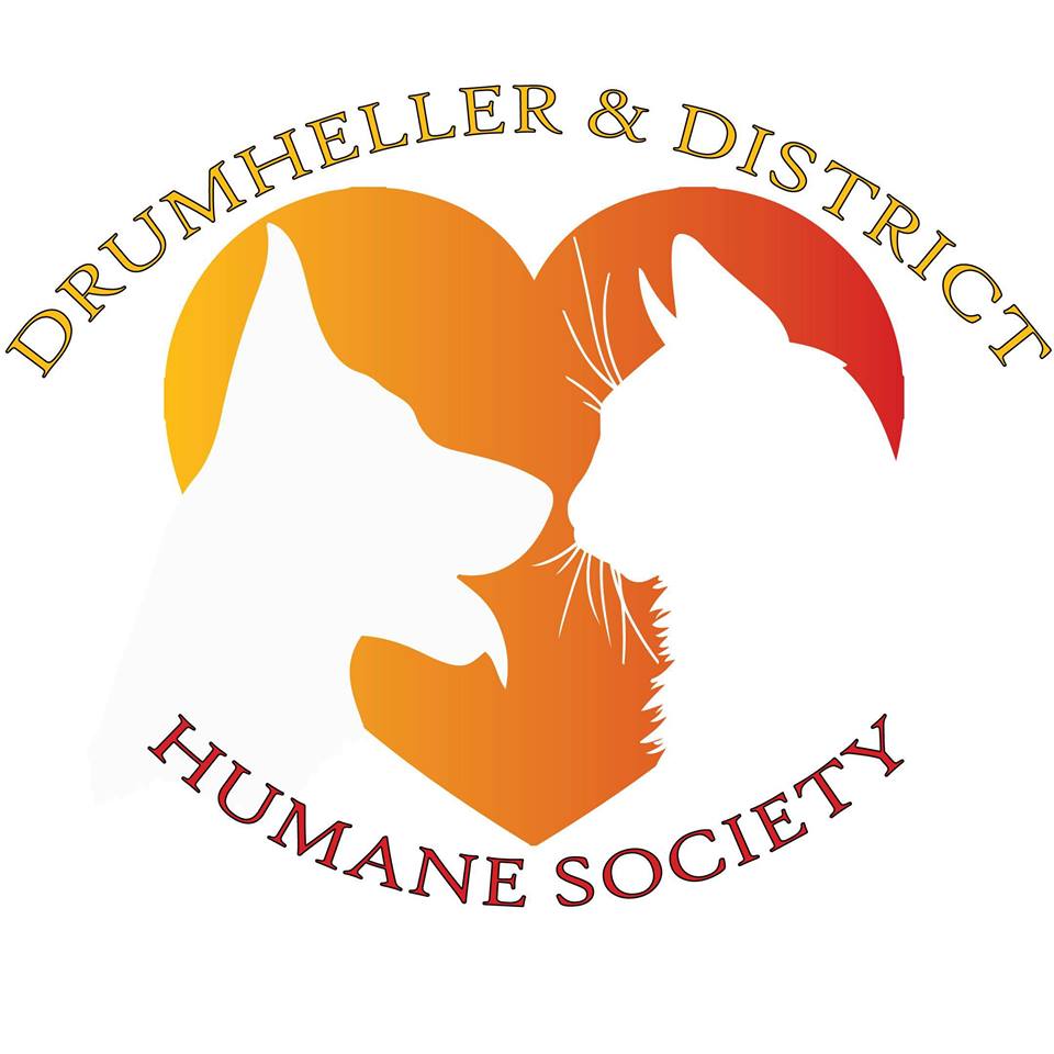 Drumheller & District Humane Society | 31 Hy Grade Crescent, Drumheller, AB T0J 0Y6, Canada | Phone: (403) 823-8999