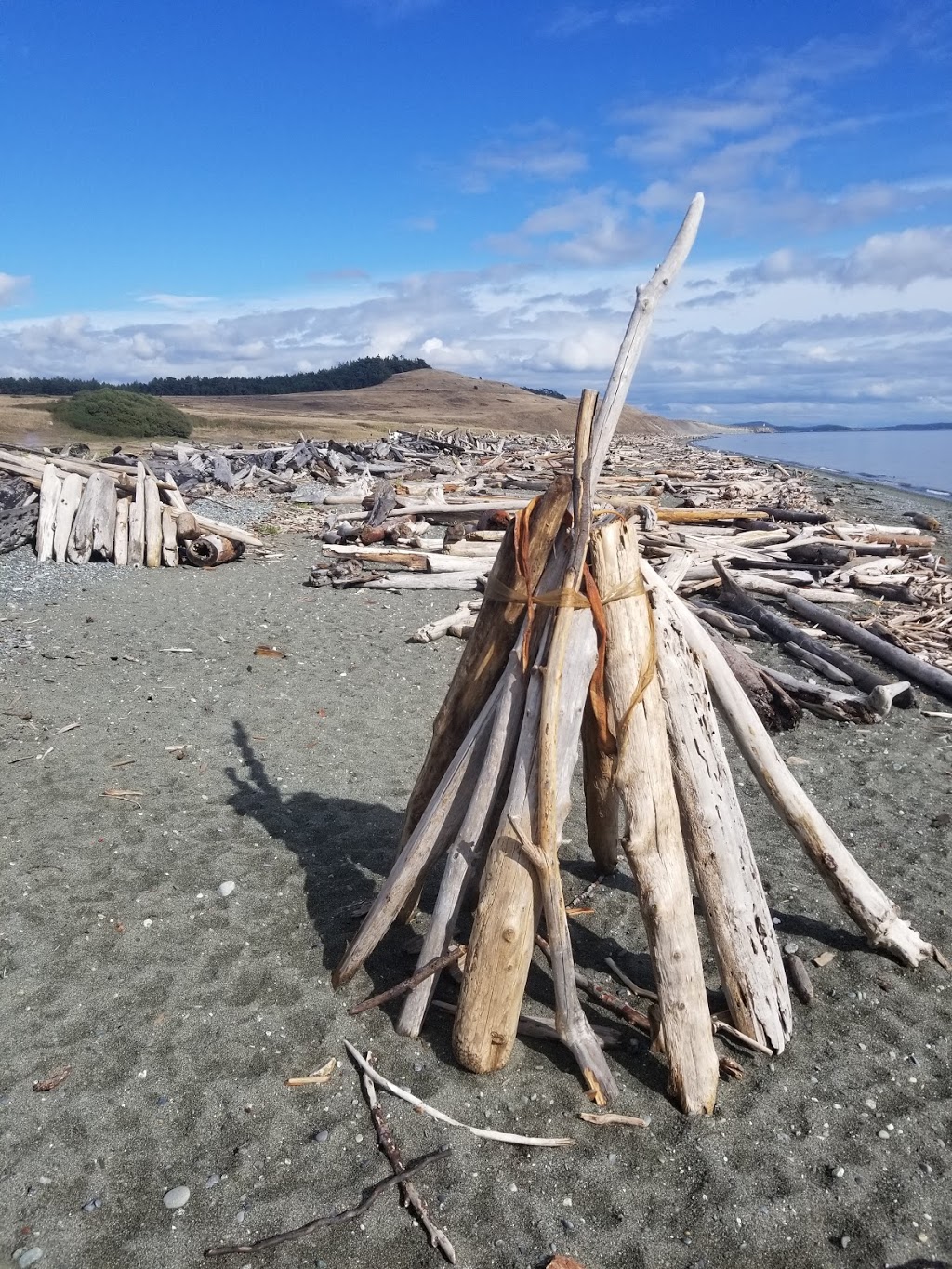 South Beach | Anacortes - Friday Harbor, Friday Harbor, WA 98250, USA